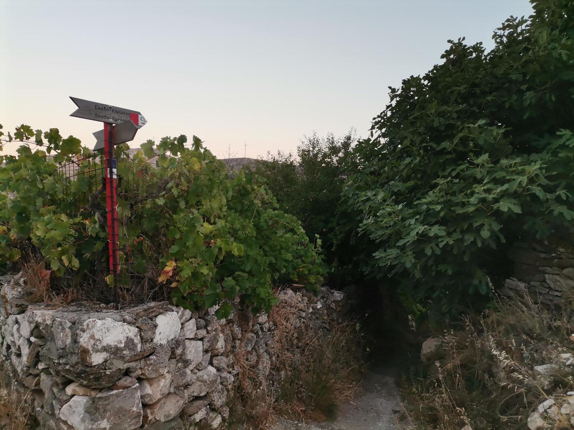 Naxos Mountain Retreat - Tiny House Build On Rock Appartement Koronos Buitenkant foto